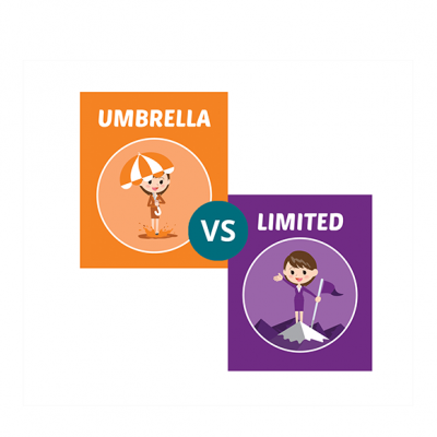 Which business model is right for a contractor?